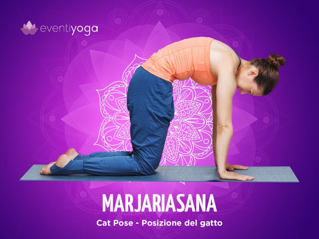 Marjariasana