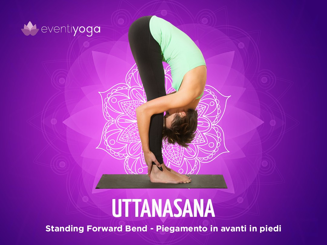 Uttanasana - piegamento in avanti in piedi