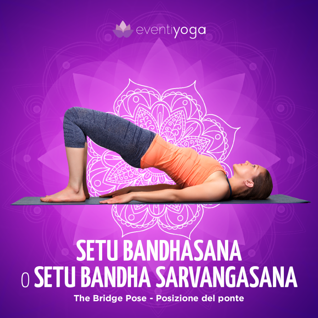 Setu bandha Sarvangasana