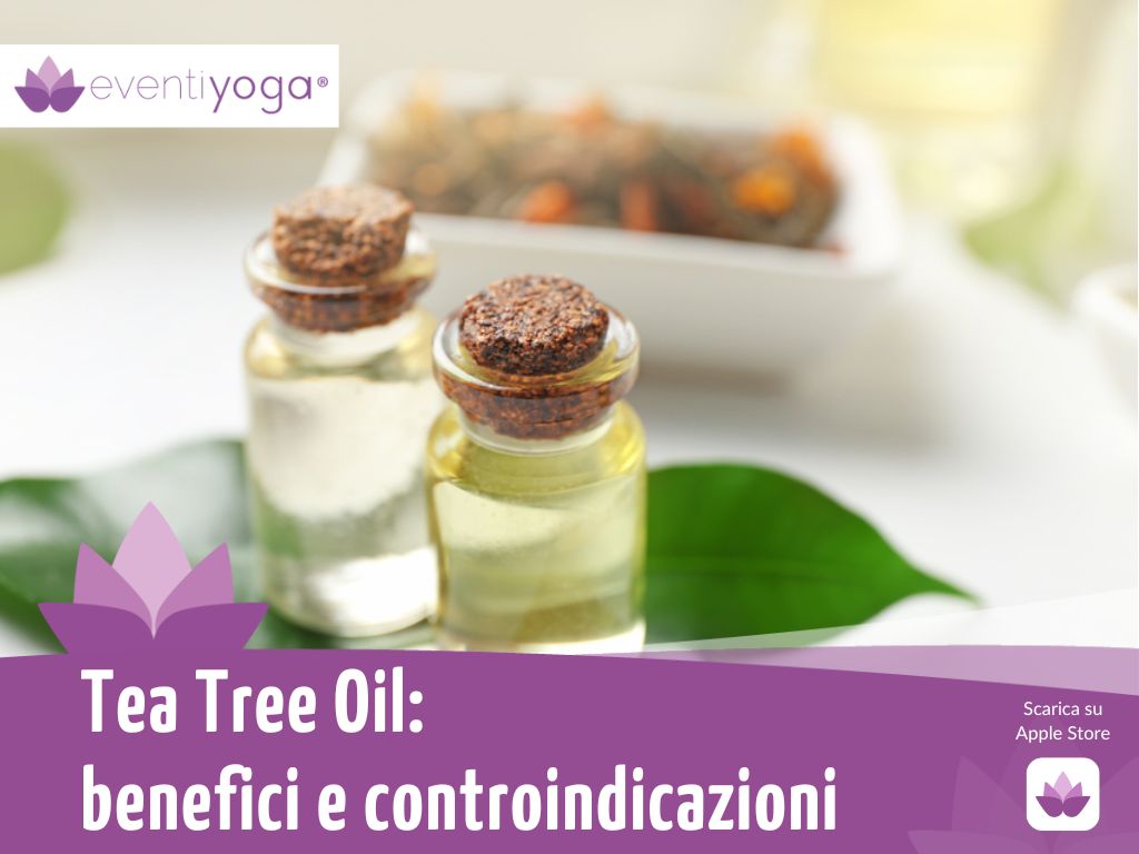 Tea Tree Oil benefici e controindicazioni