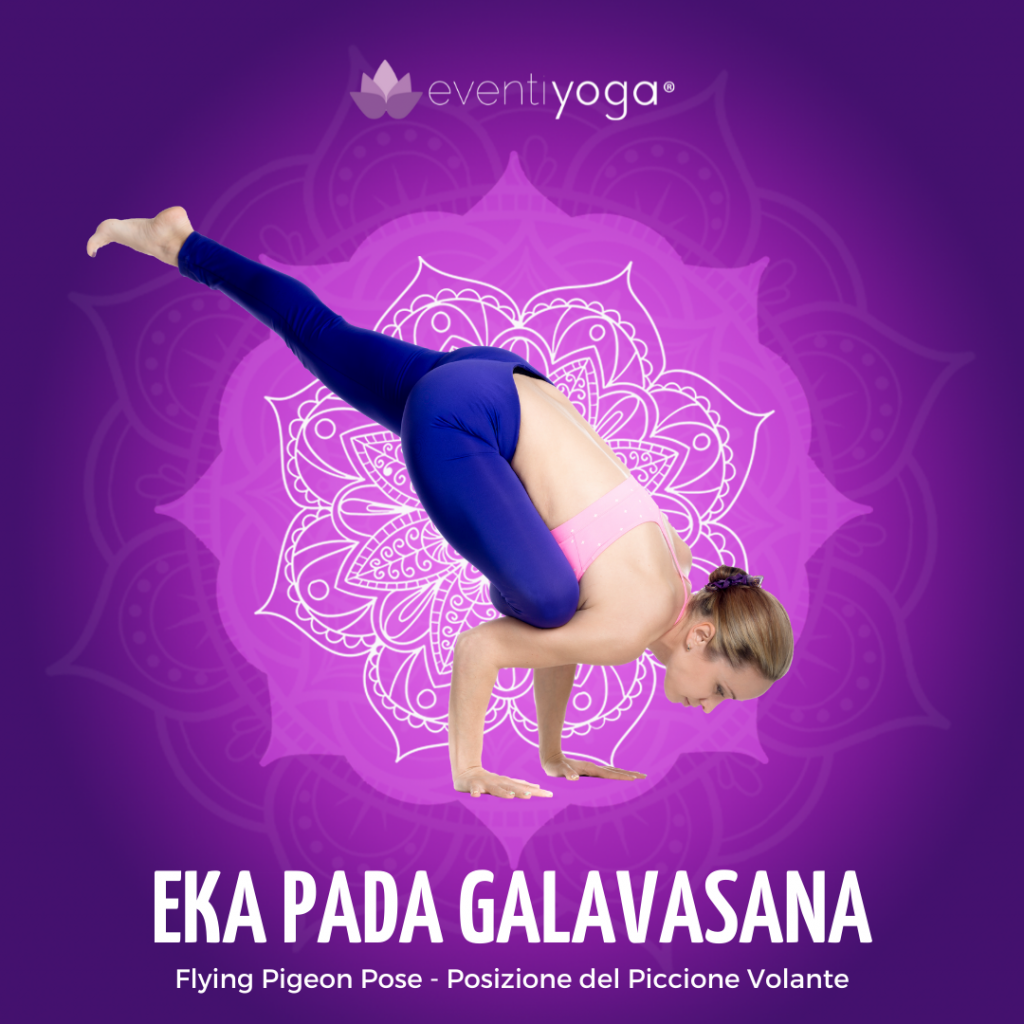 Eka Pada Galavasana