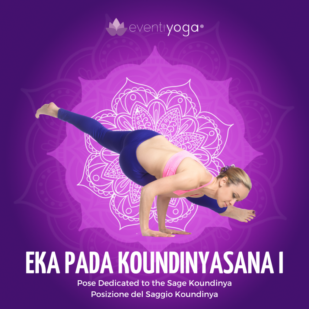 Eka Pada Koundinyasana 1