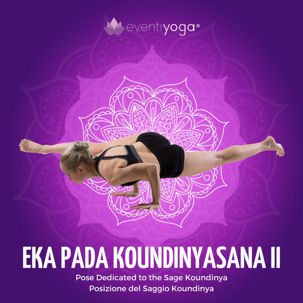 Eka Pada Koundinyasana 2