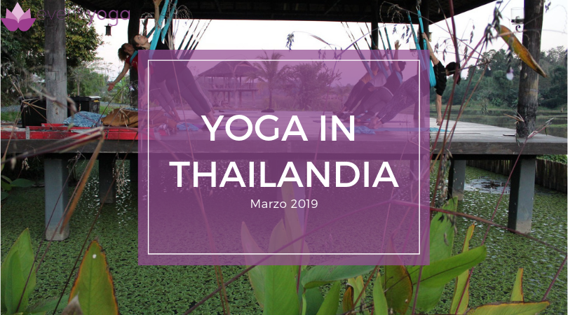 yoga thailandia marzo 2019