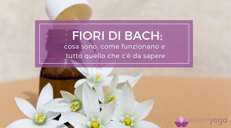 Fiori di Bach: cosa sono, come funzionano e tutto quello che c'è da sapere