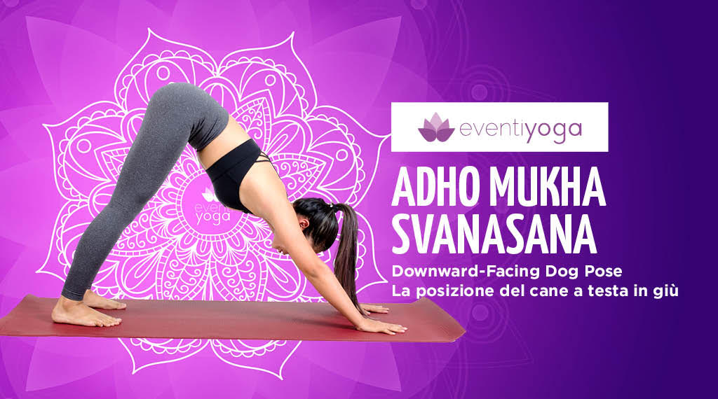 Adho Mukha Svanasana