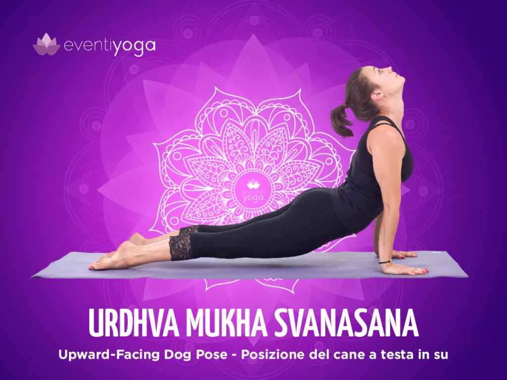 Urdhva Mukha Svanasana, posizioni yoga