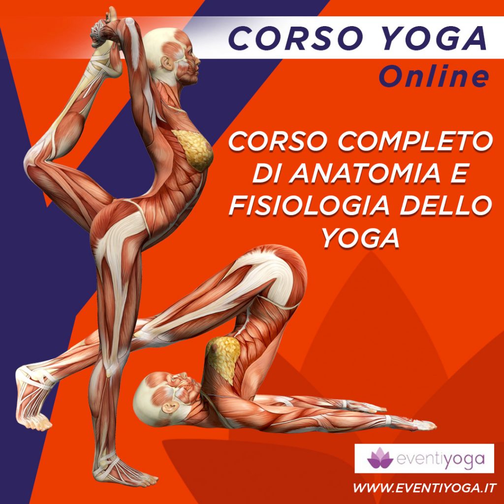 corso_anatomia-e-fisiologia_yoga