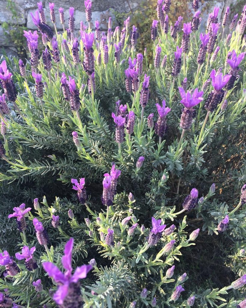 Yoga e Meditation in Puglia