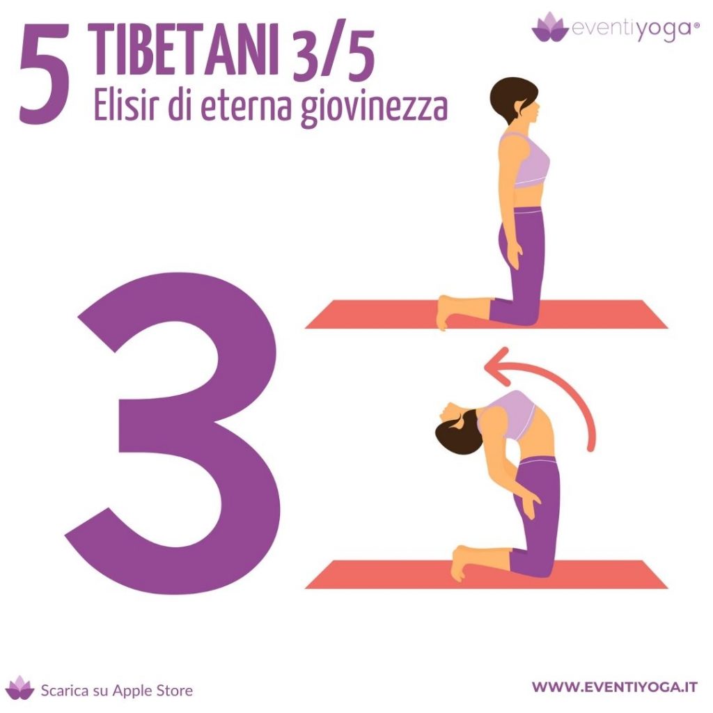 i 5 tibetani - Il terzo tibetano