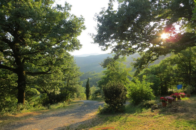 Ritiro Yoga in Emilia Romagna