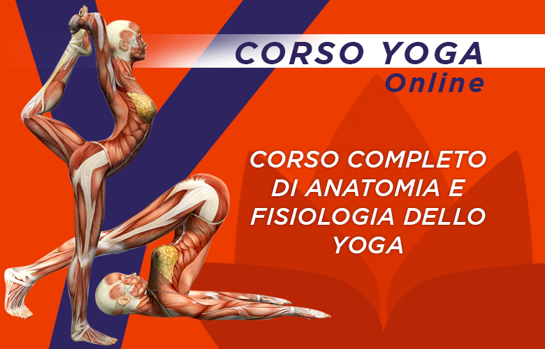 Corso completo di anatomia e fisiologia dello yoga