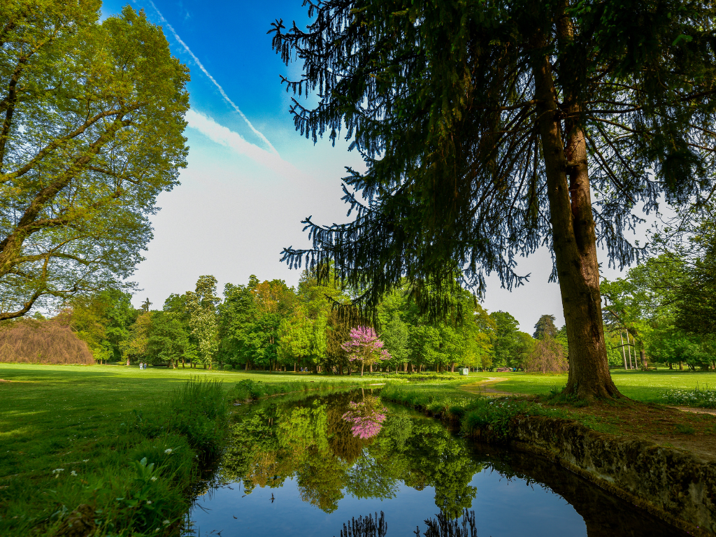 Vacanze Yoga in Lombardia - Parco di Monza