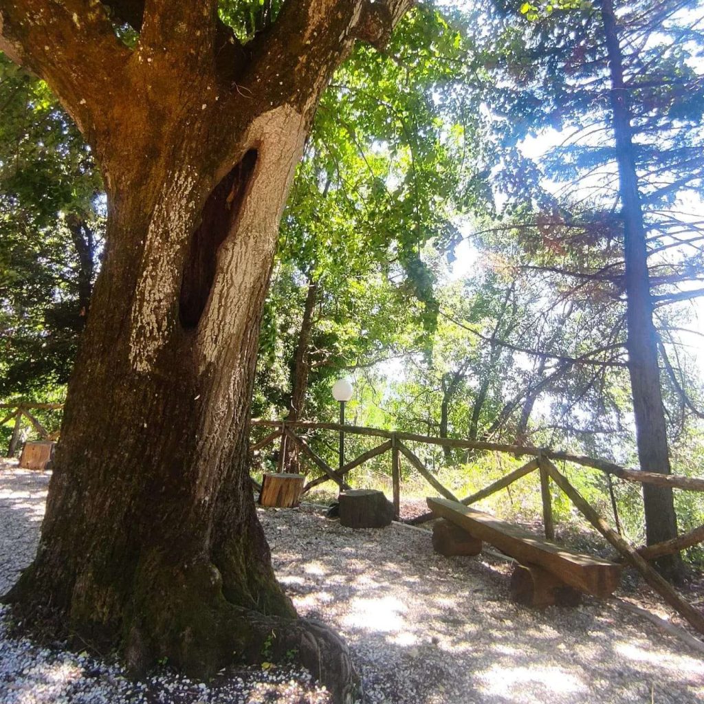 Yoga Estate a Piglio