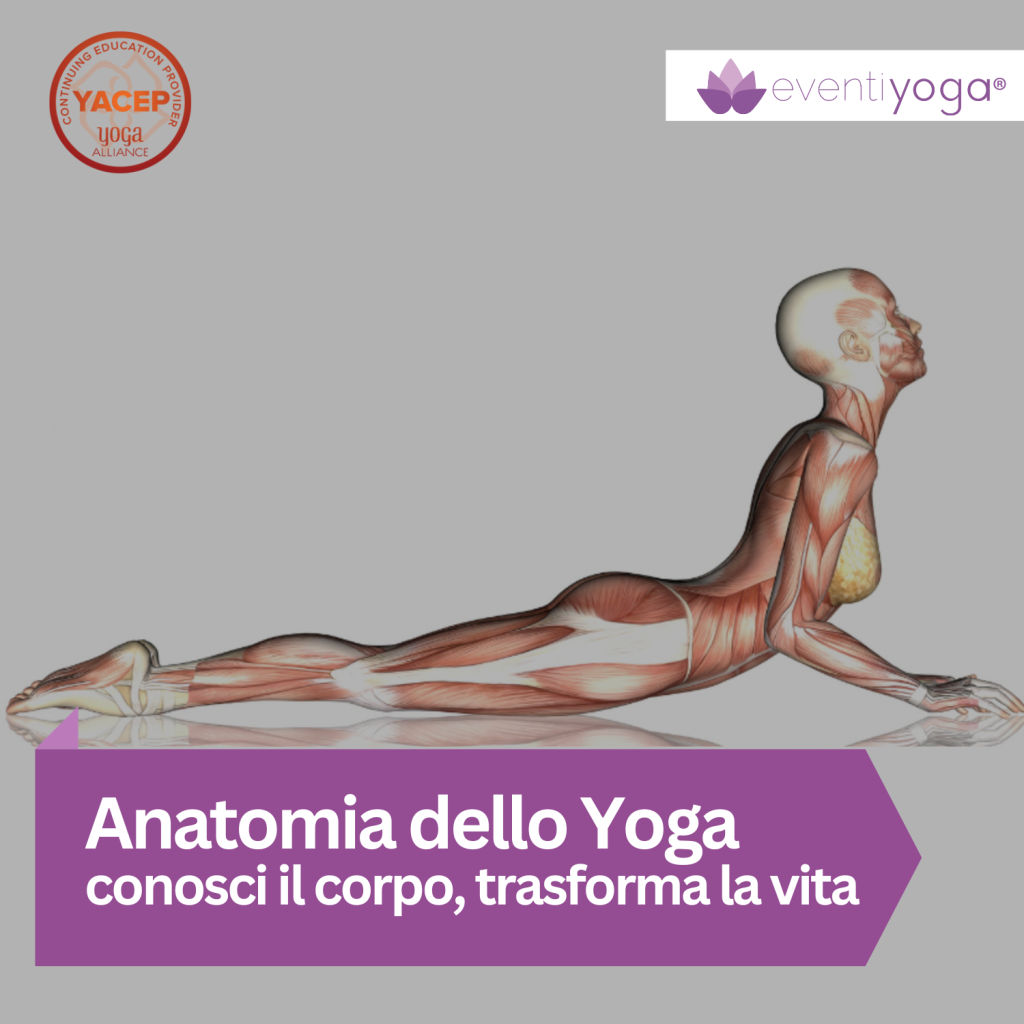 Anatomia Yoga Yacep