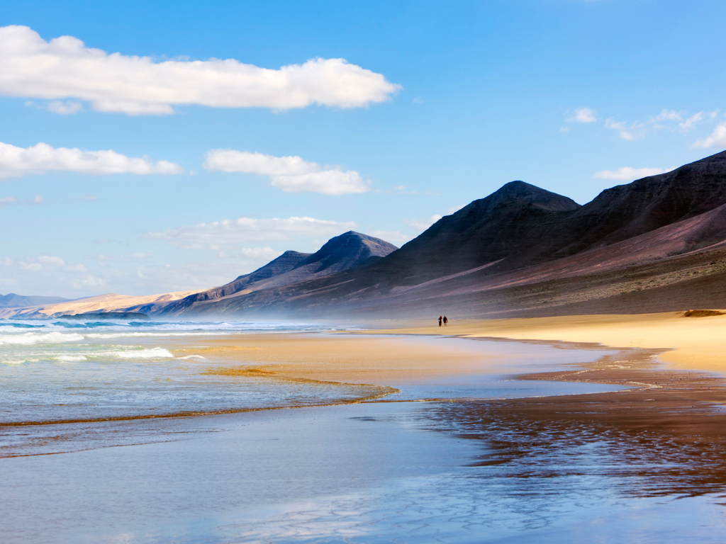 FUERTEVENTURA EXPERIENCE