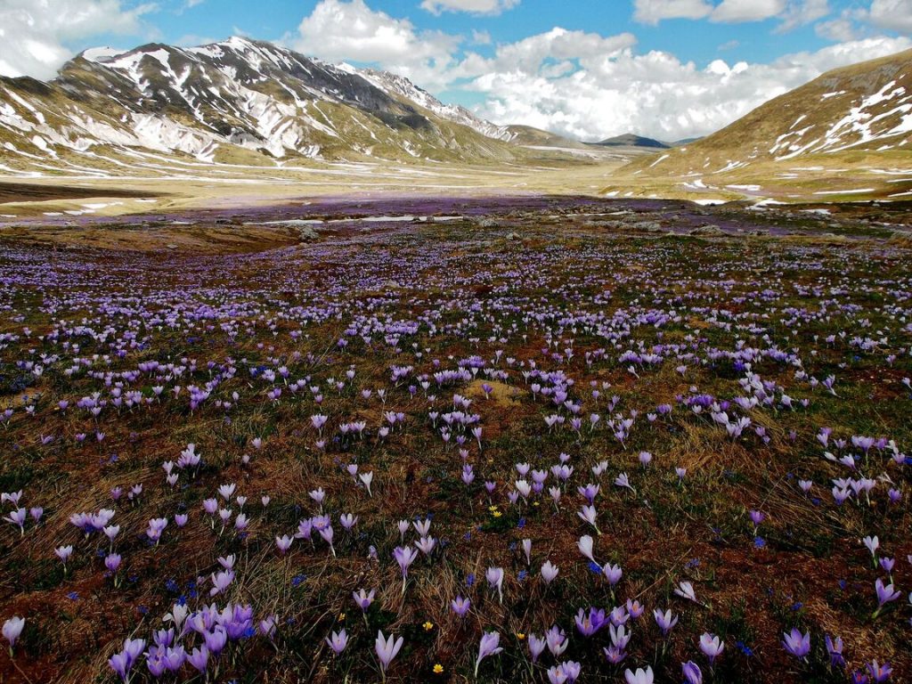 Ritiro Yoga Abruzzo - Ariele Pittalà