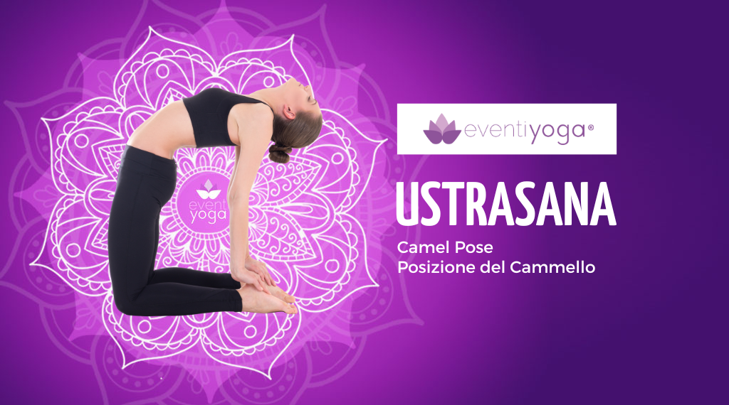 posizione del cammello