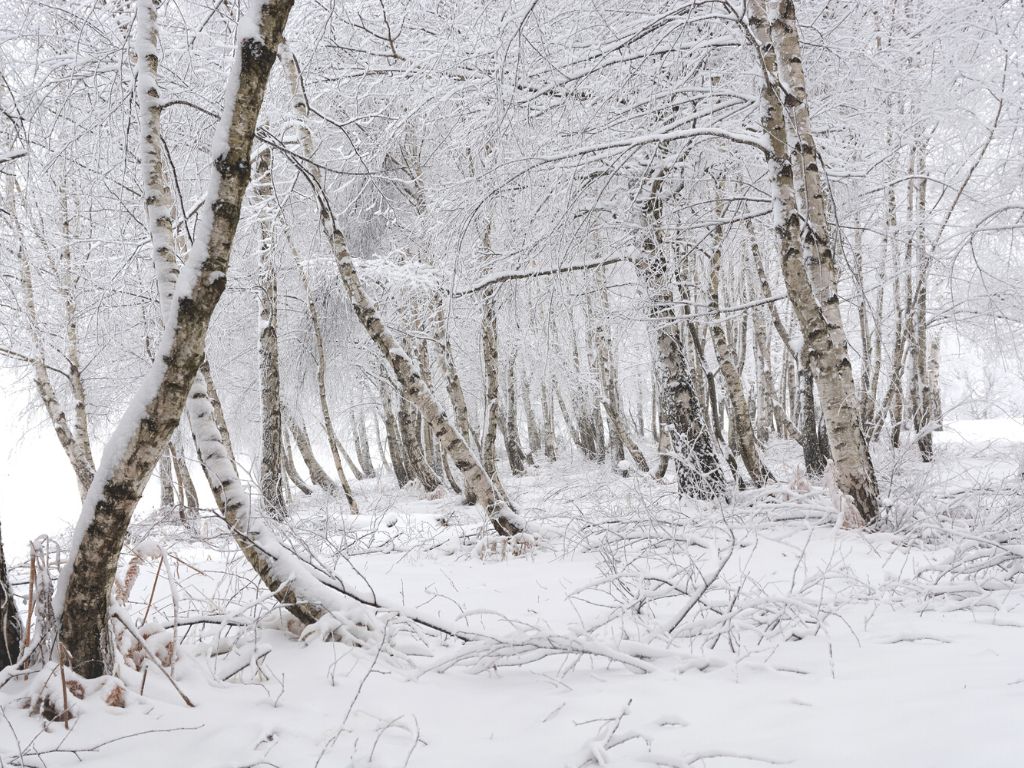 Offerte weekend sulla neve in Lombardia