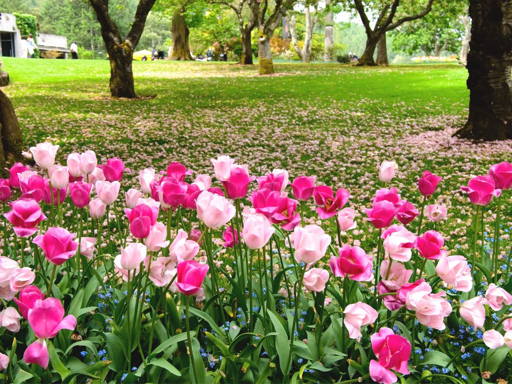 Vacanze Maggio dove andare in natura