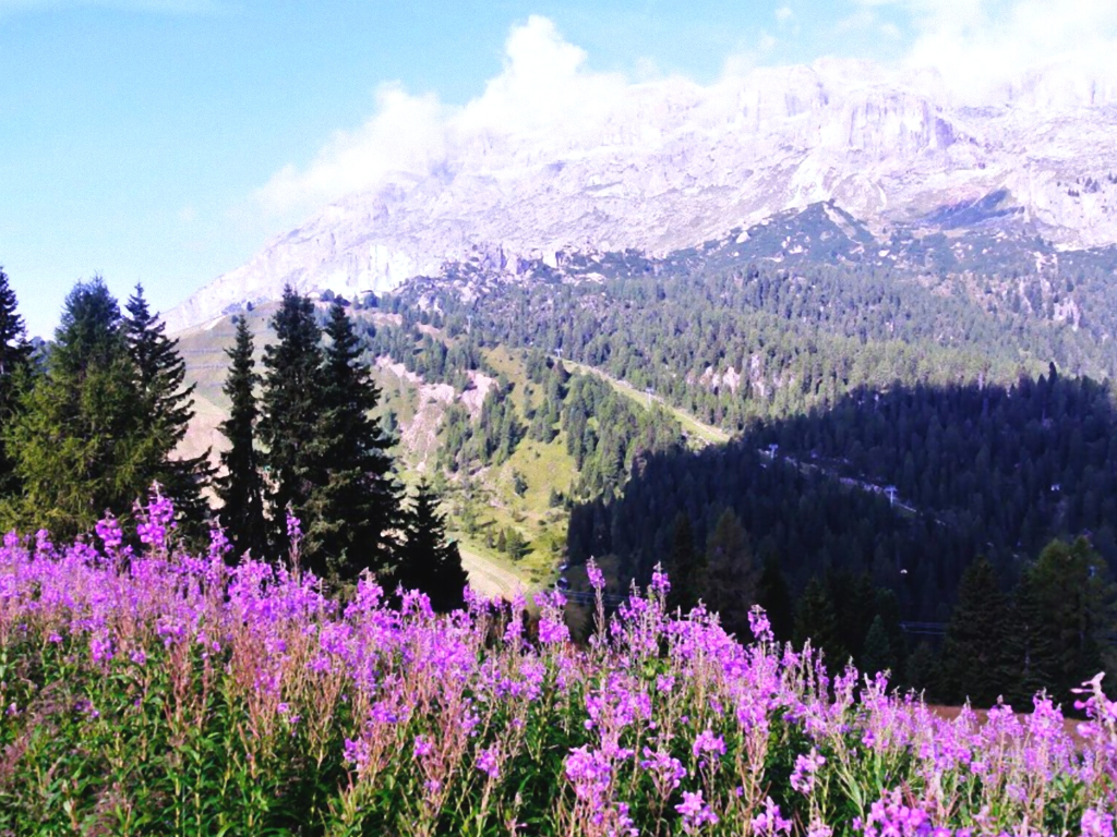 Offerte Week end Yoga in Trentino