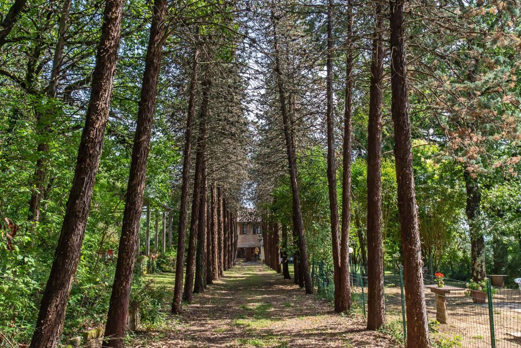 Agriturismo yoga toscana - Il Pornelleto