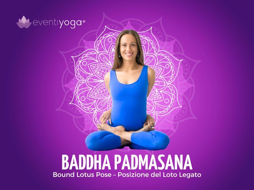 Baddha Padmasana - posizione del loto legato