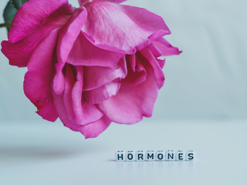 3 fasi della menopausa e perimenopausa