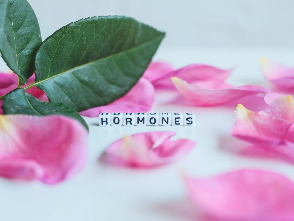 gli ormoni della menopausa