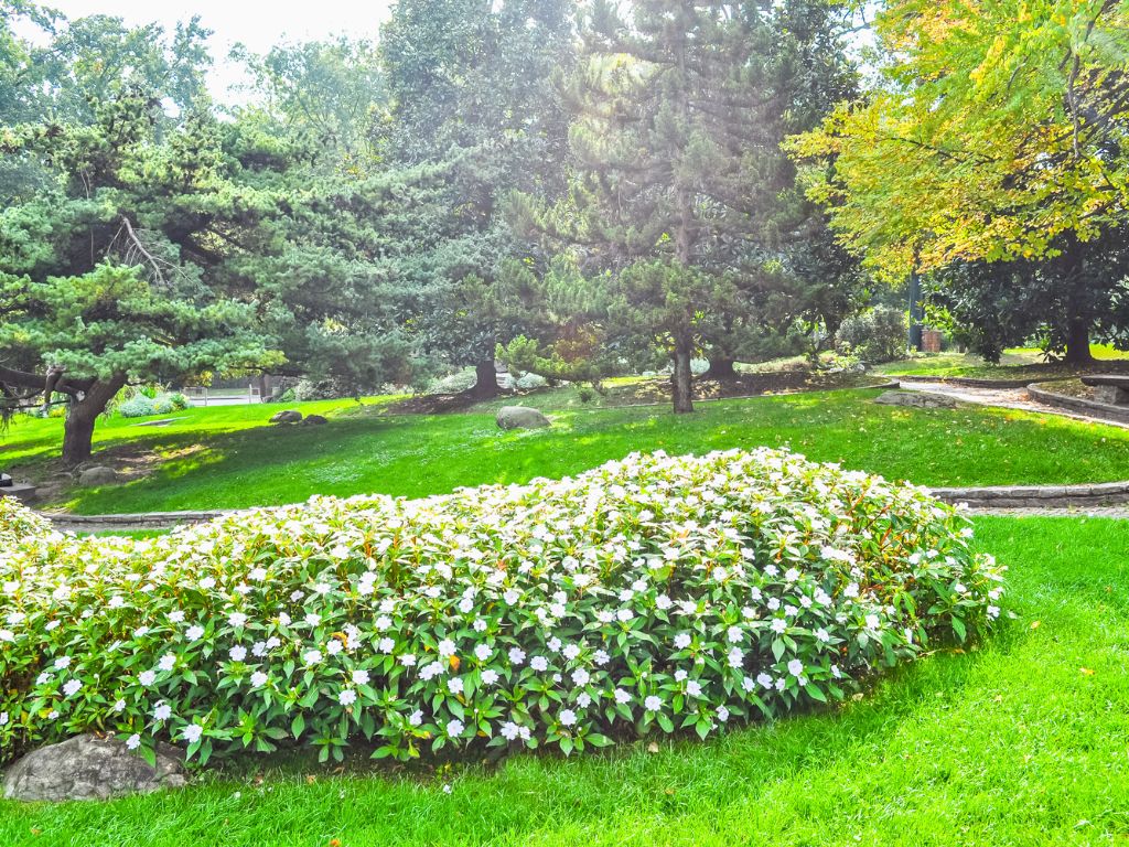 parco del valentino a torino