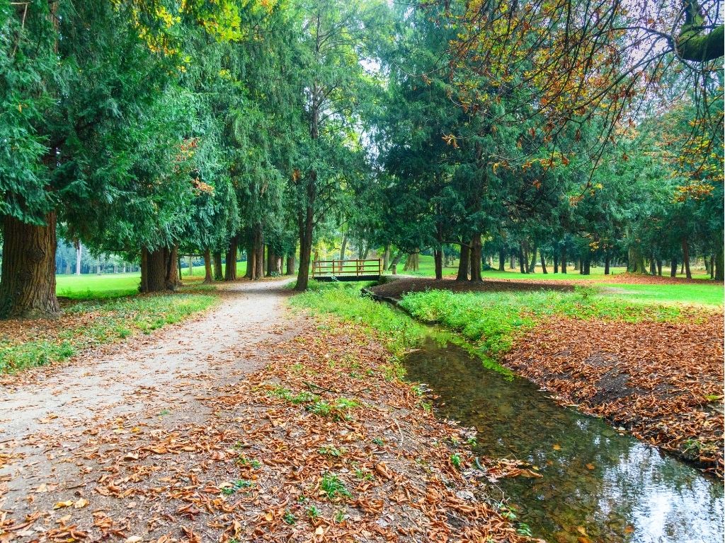 yoga al parco a monza