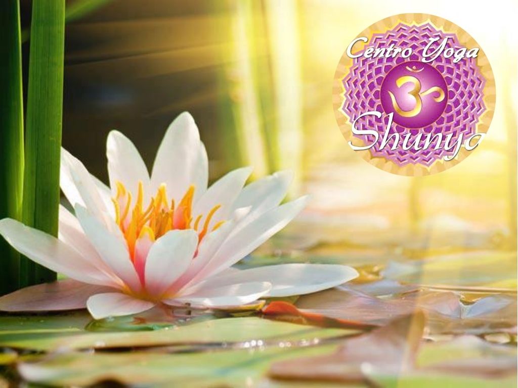 Centro Yoga Shunya Cagliari