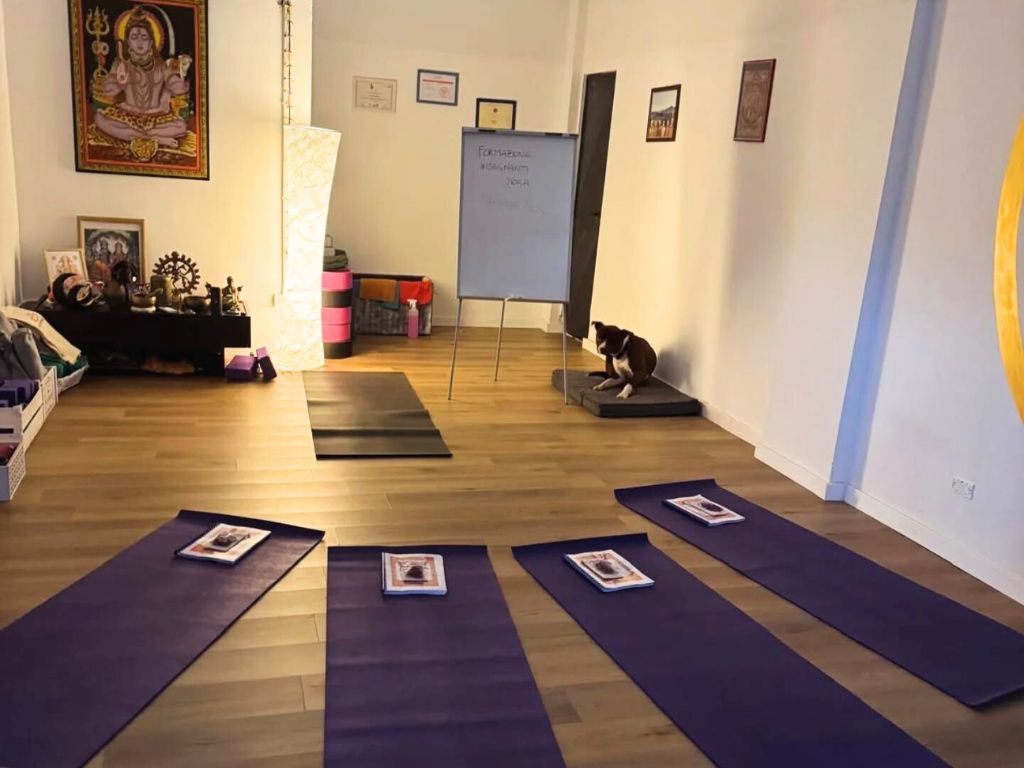 Shivaya-Yoga-Bari-centro-yoga
