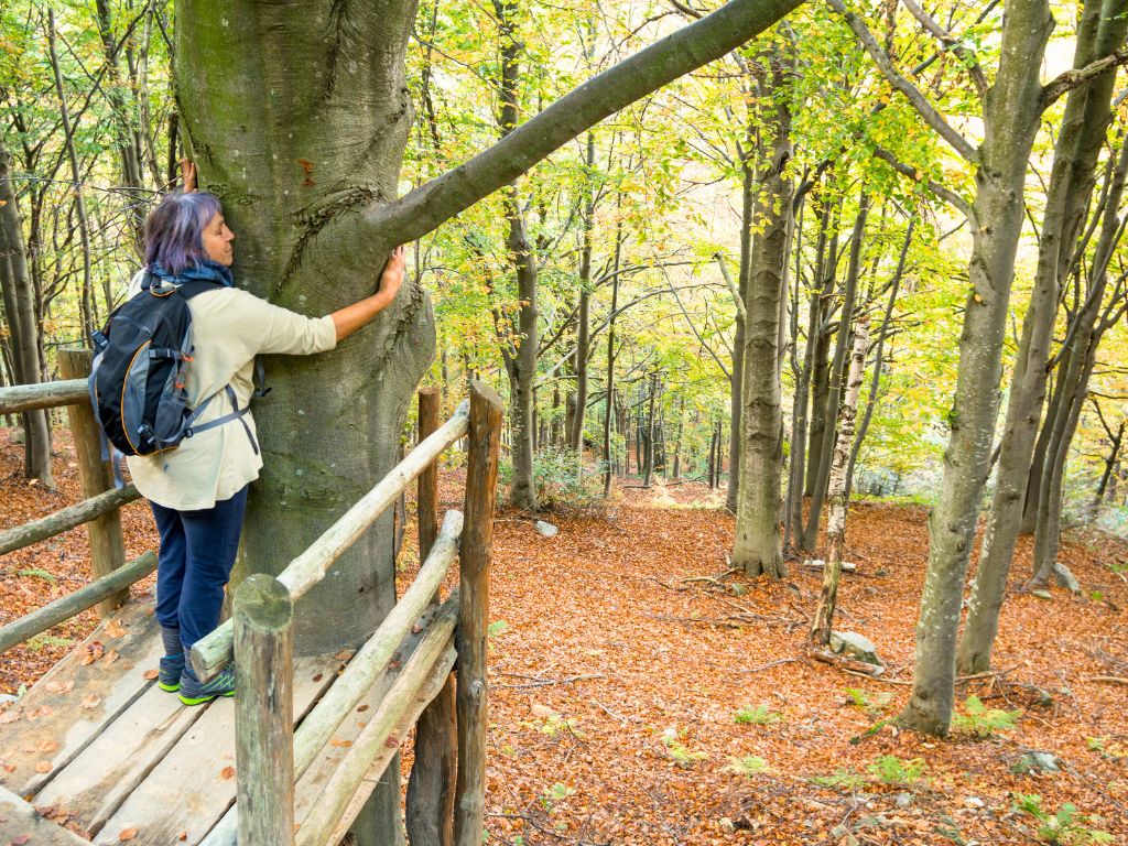 una-donna-pratica-forest-bathing