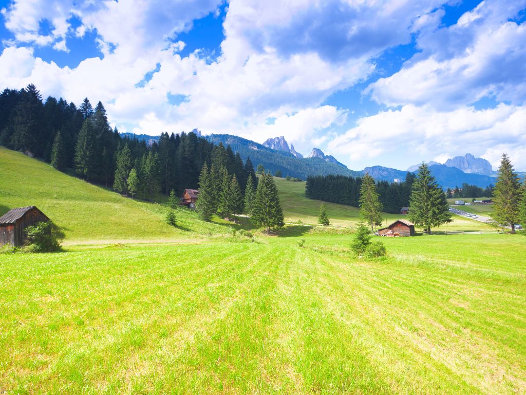 una-sessione-di-forest-bathing-Val-di-Fiemme