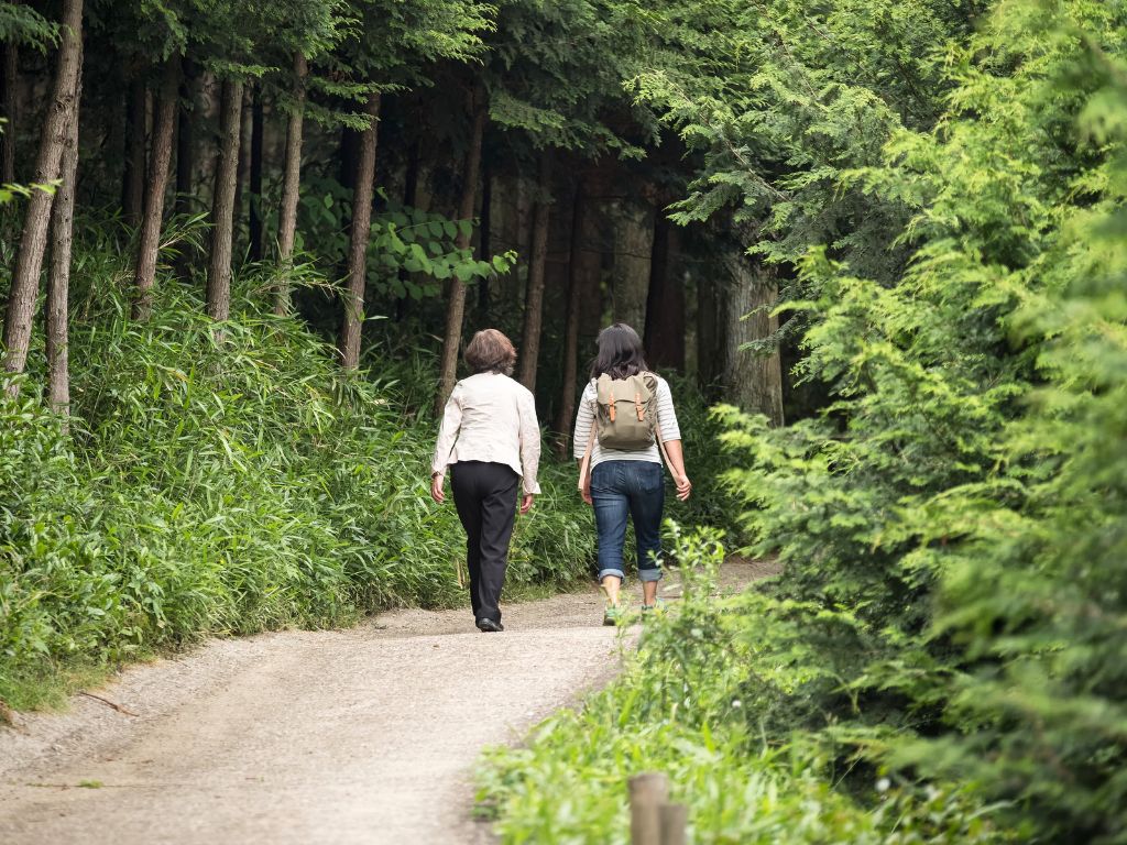 una-sessione-di-forest-bathing-shinrin-yoku-con-la-guida