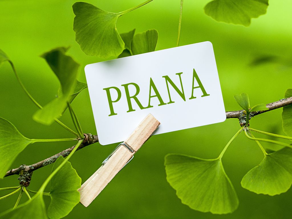 prana-parola-significato