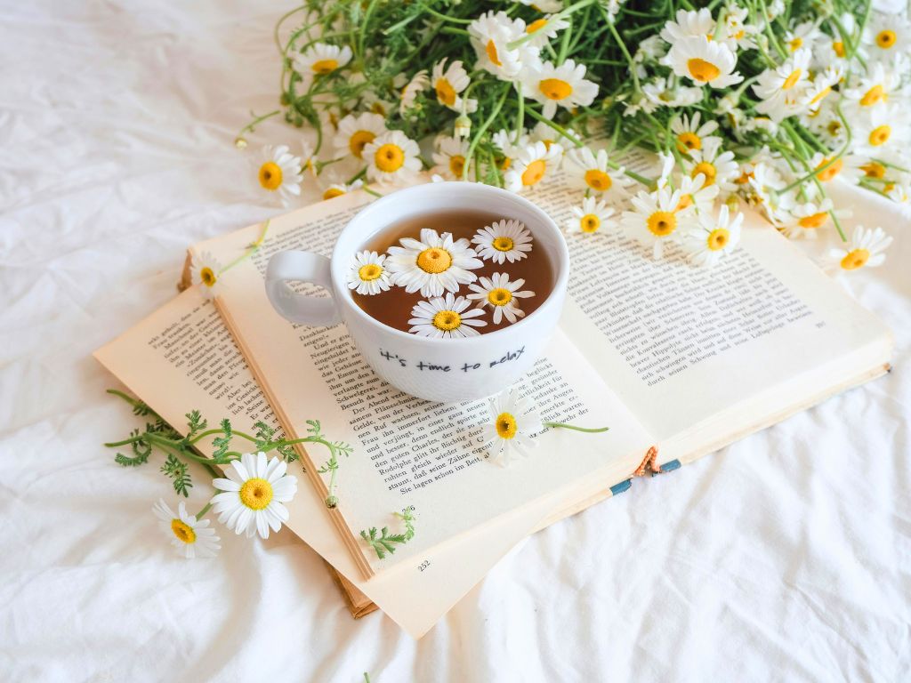 libri-sulla-naturopatia-con-fiori-di-camomilla