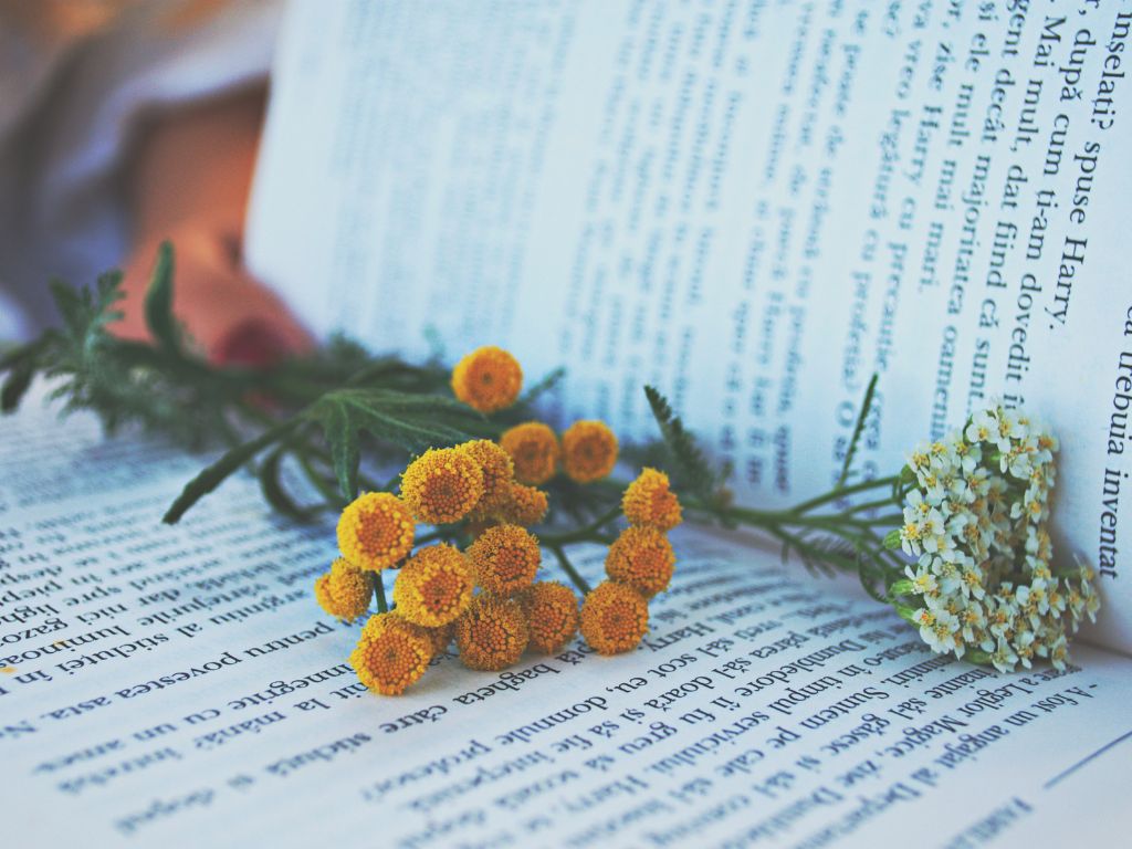 libro-di-naturopatia-con-fiori-sopra